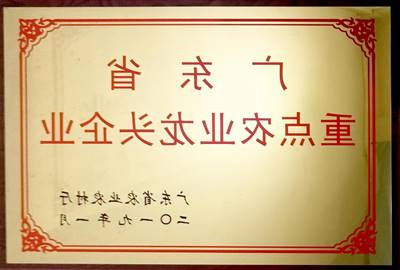 荣誉证书