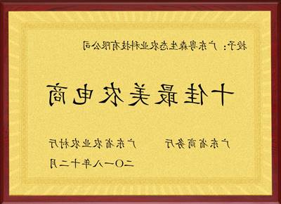 十佳最美农电商
