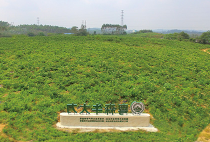 示范种植基地